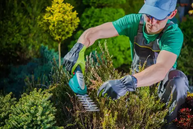landscaping services Massapequa